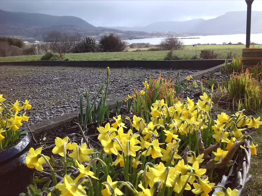 Currane Lodge Waterville Kültér fotó